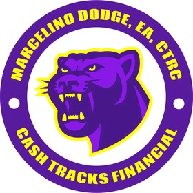Fierce Panther, Bold Financial Strength