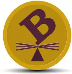 Borshoff Consulting Logo