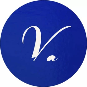 ViPRO Consulting LLC Logo