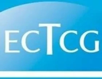 East Coast Tax Consulting Group Logo