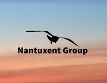 Nantuxent Group Logo