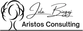 Aristos Consulting, LLC photo 1