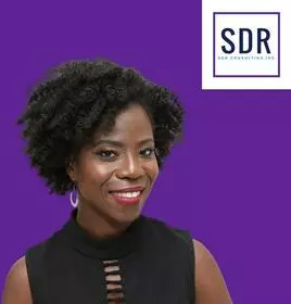SDR Consulting Inc. photo 5