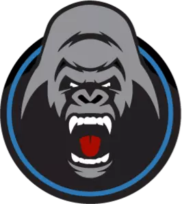Silverback Tax Solutions photo 5