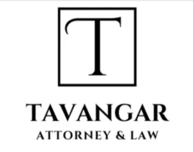 Amir Salar Tavangar photo 1
