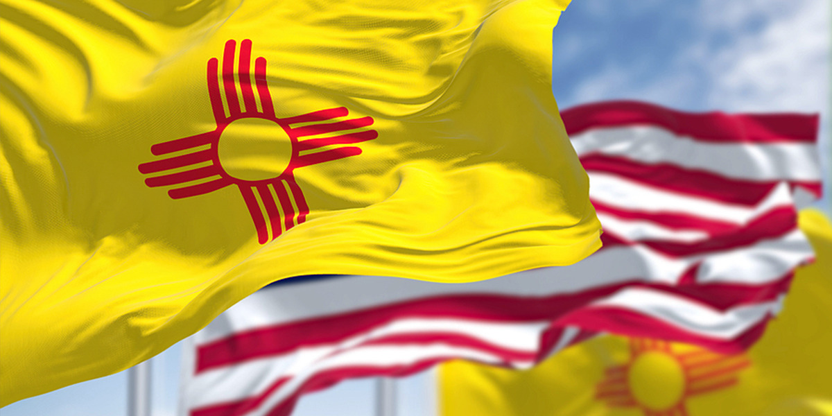 A Review of New Mexico Tax Liability Options