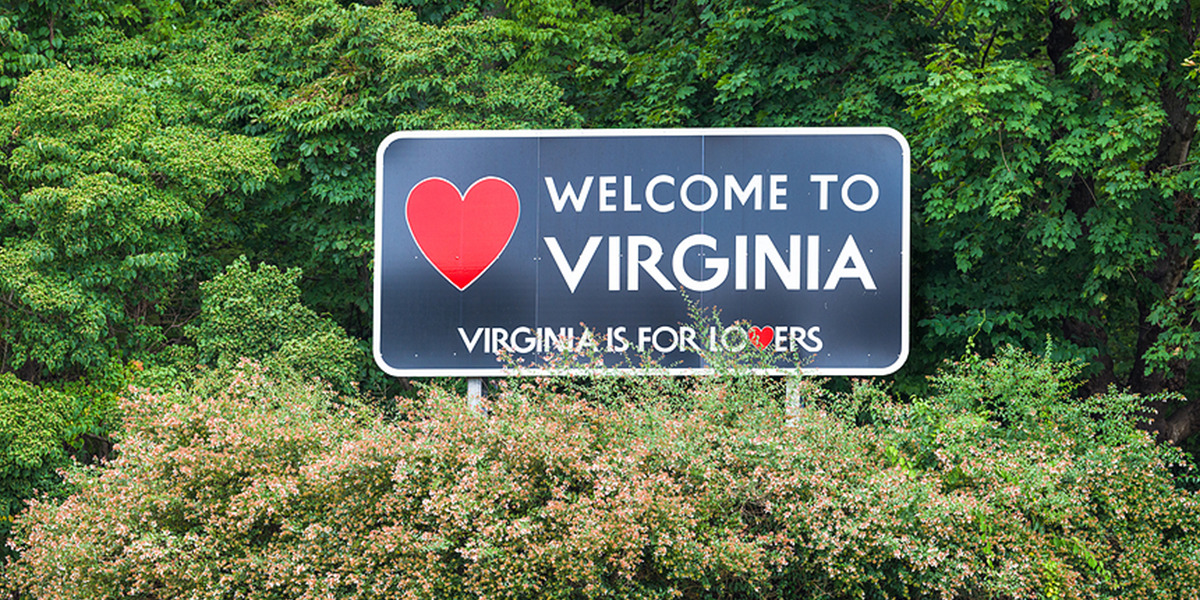 Virginia State Tax Resolution Options for Back Income Taxes