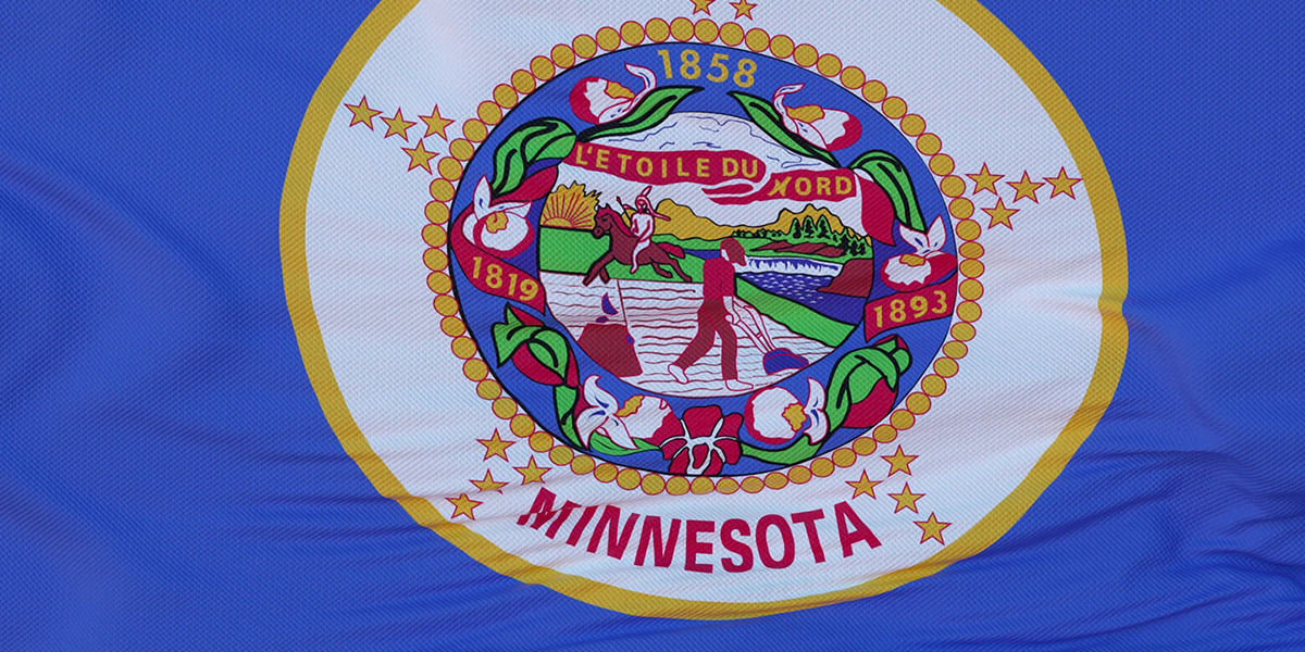 Minnesota Back Tax Relief Options & Consequences of Owing