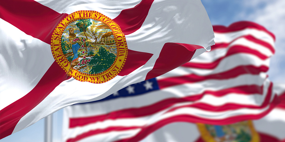 Florida Department of Revenue Tax Payment Plan