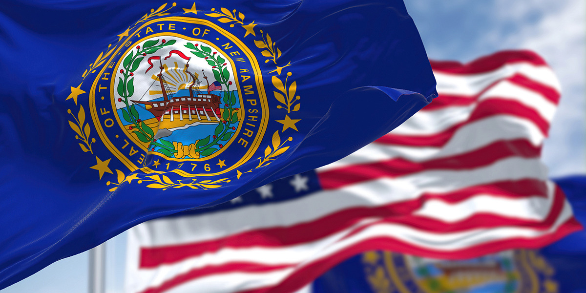 New Hampshire Tax Collection & Relief Options for Back Taxes