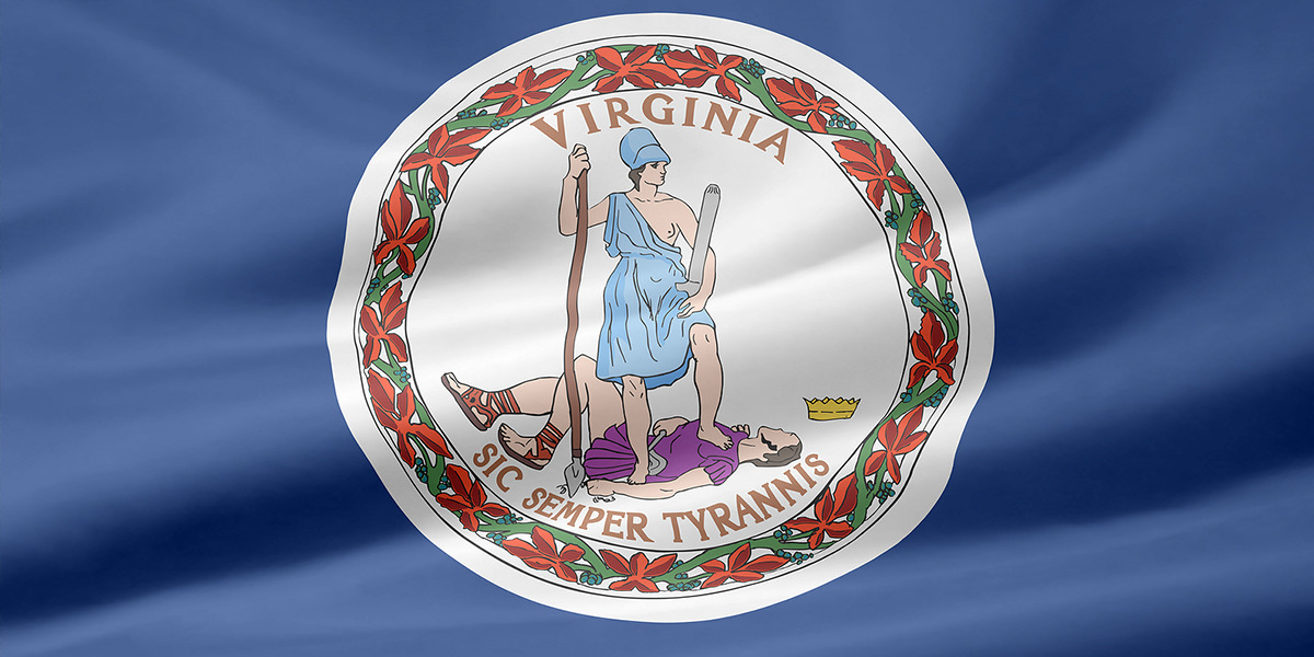 Guide to Virginia Tax Liens: Bank Liens, Wage Liens & More