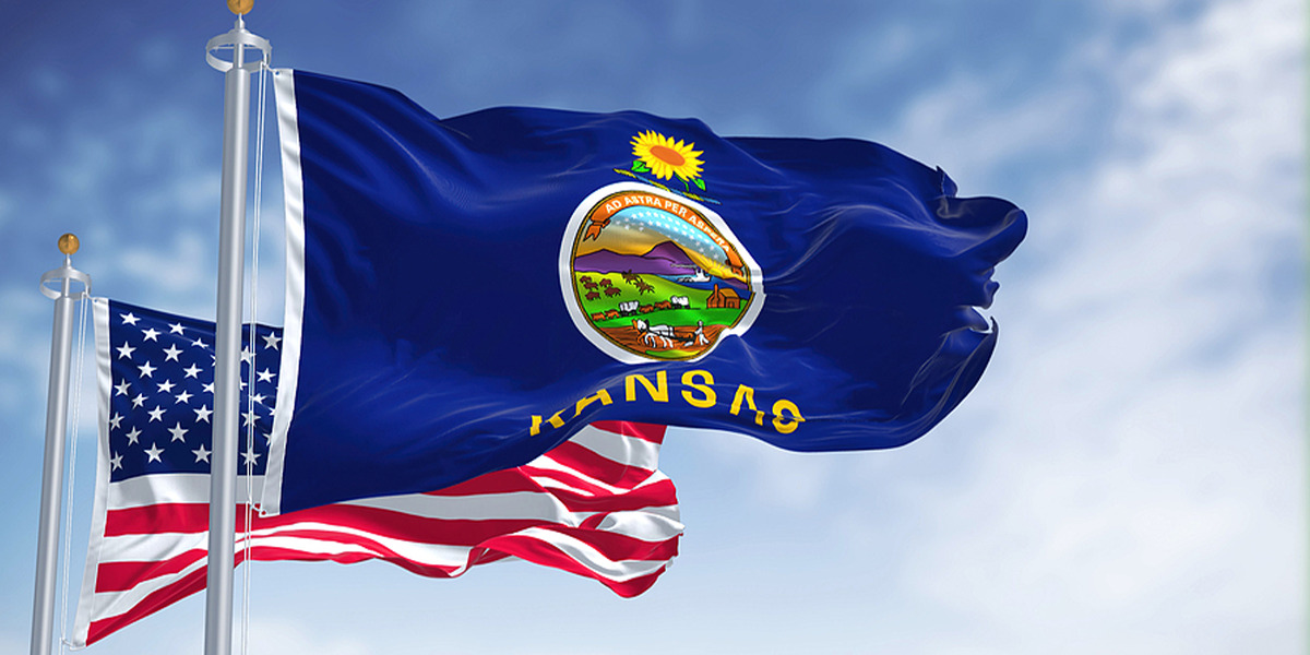 Kansas Back Taxes: Consequences and Payment Options