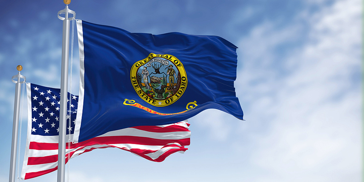 Idaho Back Taxes: Resolution Options & Consequences
