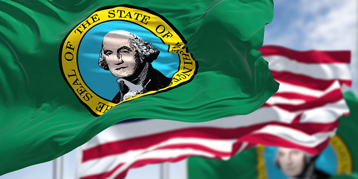Taxpayer's Guide to Washington State Back Taxes