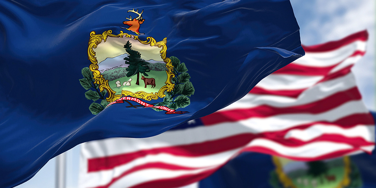 What to Expect and How to Resolve Vermont Back Taxes