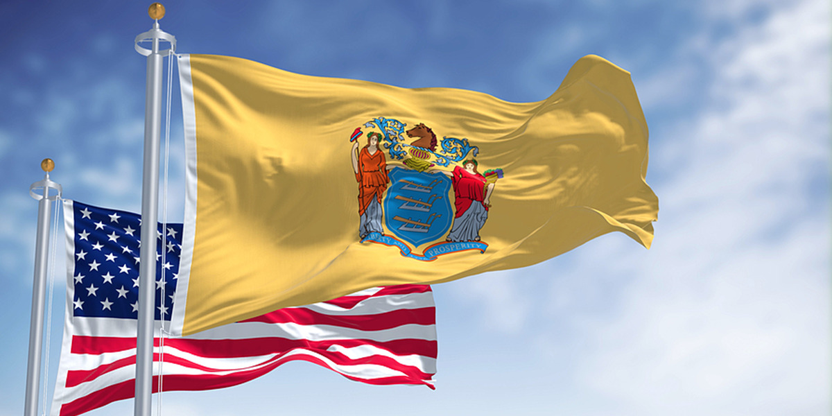 State of New Jersey Back Taxes Resolution Options