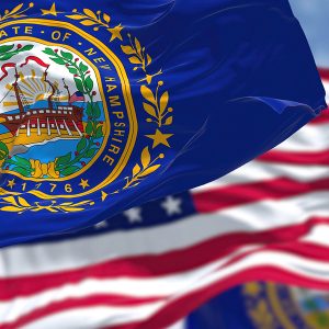 New Hampshire Tax Collection & Relief Options for Back Taxes