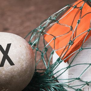 Can the IRS Really Take Your Home? House Seizure Details
