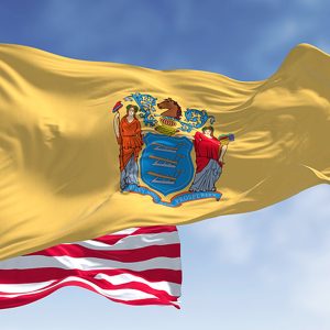 State of New Jersey Back Taxes Resolution Options