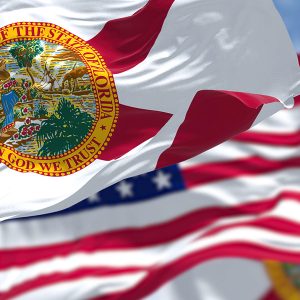 Florida Department of Revenue Tax Payment Plan