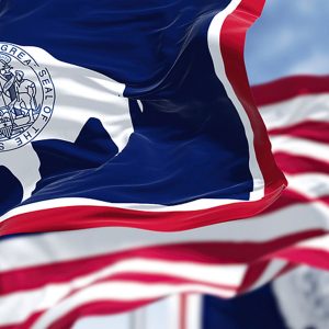 Wyoming Tax Problems and Resolution Options