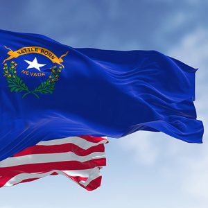 Guide to Nevada Tax Relief & NV Back Tax Consequences