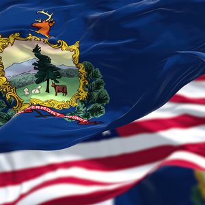 What to Expect and How to Resolve Vermont Back Taxes