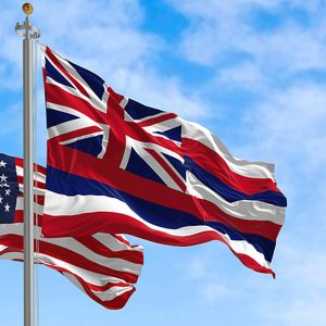 Guide on Hawaii Tax Payment Plans for Back Taxes