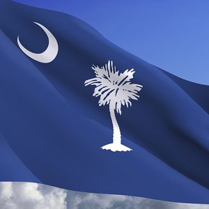 South Carolina Tax Resolution Options for Back Taxes Owed