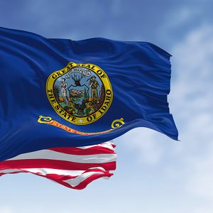 Idaho Back Taxes: Resolution Options & Consequences