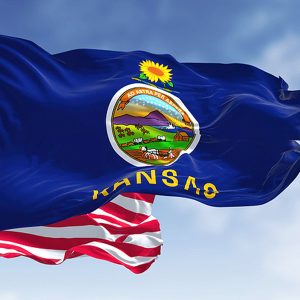 Kansas Back Taxes: Consequences and Payment Options