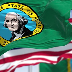Taxpayer's Guide to Washington State Back Taxes
