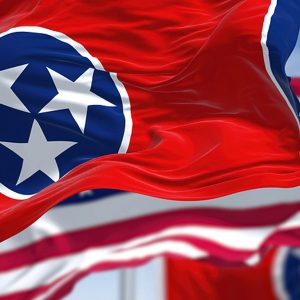 Tennessee Tax Resolution Options for Back Taxes Owed