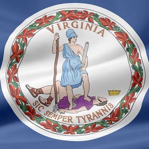 Guide to Virginia Tax Liens: Bank Liens, Wage Liens & More